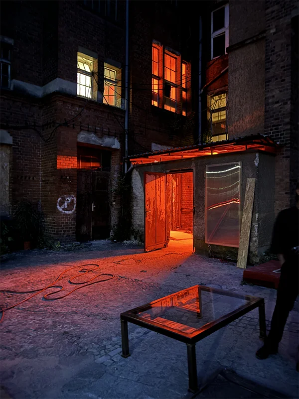 Moody outdoors shot of a backyard with red light at the evening.